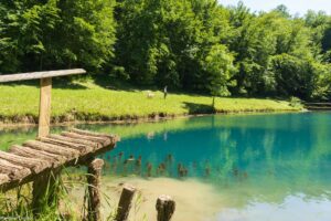 Kuca za odmor Jezero Ogulin